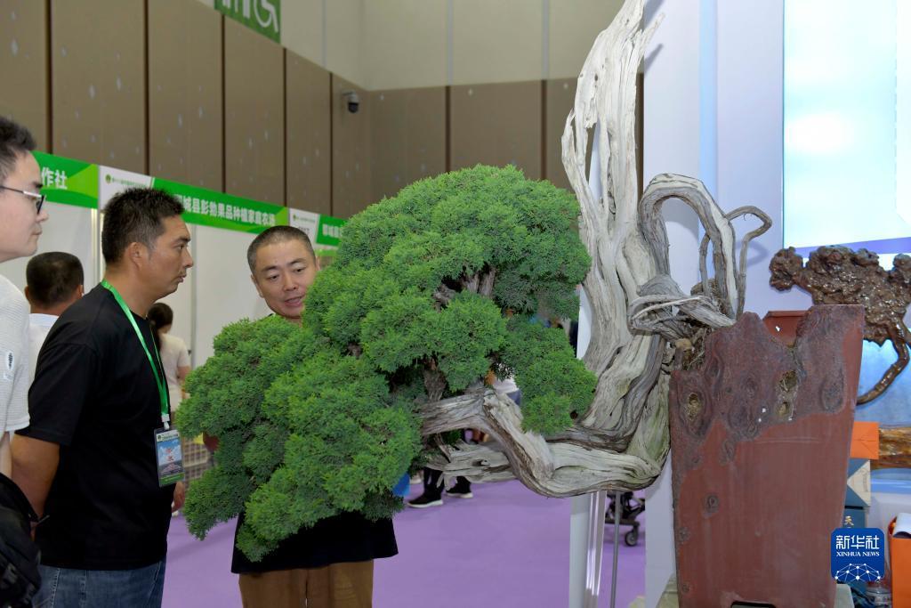 澳门威斯尼斯人www.78xx.vip